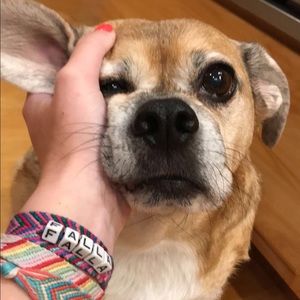 Meet your Posher, Samantha